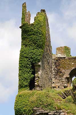 Irland Ballycarberry-Castle-002
