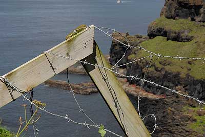 Irland Cliffs-of-moher-003