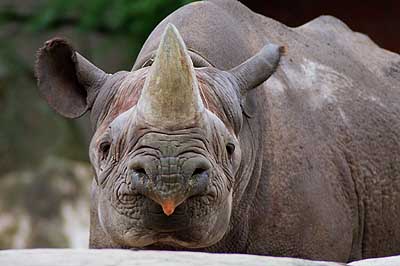 Krefelder Zoo 0003